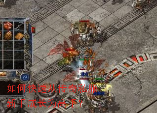 ��ο��ٴӴ���˽�����ֳɳ�Ϊ���֣�