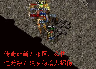 ����sf�¿�������ô���������������ؼ������