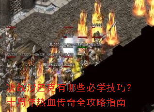 ��սɳ�Ϳ�����Щ��ѧ���ɣ�ʮ������Ѫ����ȫ����ָ��