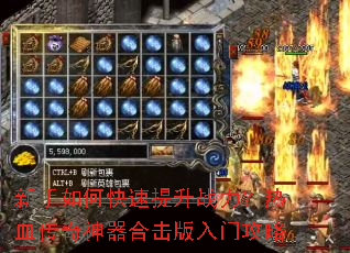 ������ο�������ս������Ѫ���������ϻ������Ź���