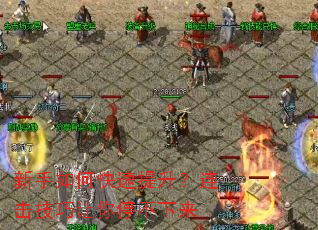 ������ο���������������������ͣ������