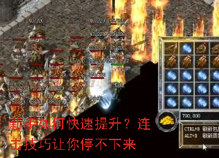 ������ο���������������������ͣ������