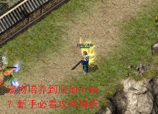 �����������׶����������ֱؿ����Խ���