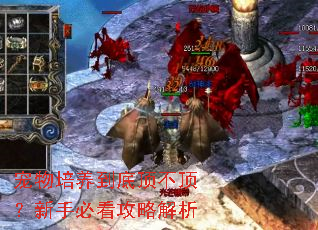 �����������׶����������ֱؿ����Խ���