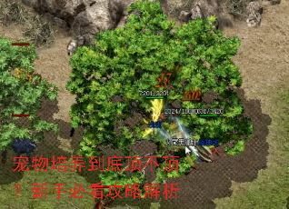 �����������׶����������ֱؿ����Խ���