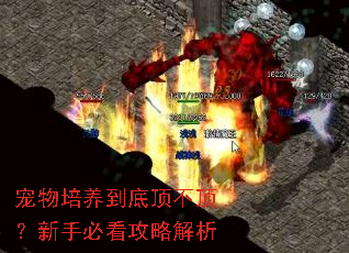 �����������׶����������ֱؿ����Խ���