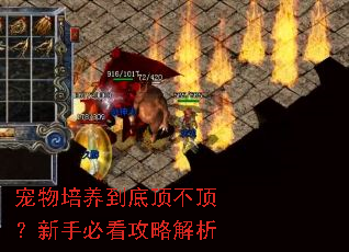 �����������׶����������ֱؿ����Խ���