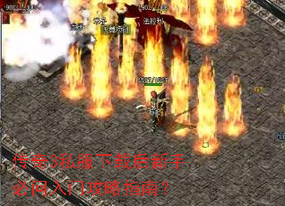 ����3˽�����غ����ֱ������Ź���ָ�ϣ�