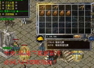 ����3˽�����غ����ֱ������Ź���ָ�ϣ�