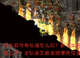 ����ƴ���˽����ô�棿������ο������֣���������ܷ�����Щ��ϲ��