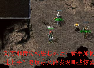 ����ƴ���˽����ô�棿������ο������֣���������ܷ�����Щ��ϲ��