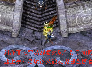 ����ƴ���˽����ô�棿������ο������֣���������ܷ�����Щ��ϲ��