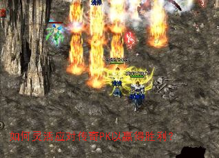 ������Ӧ�Դ���PK��Ӯ��ʤ����