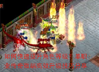 ��ο���������ɫ�ȼ�����ְҵ����΢�˸�Ч�������ɷ���