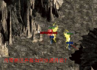 ��������������ο���������