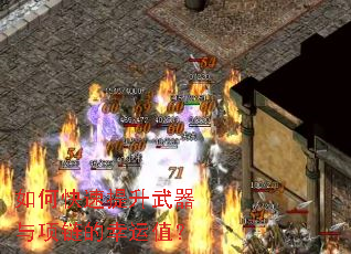 ��ο�����������������������ֵ��