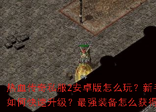 ��Ѫ����˽��2��׿����ô�棿������ο�����������ǿװ����ô��ã�