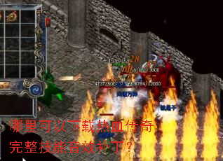 �������������Ѫ��������������Ч������