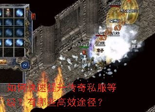 ��ο�����������˽���ȼ�������Щ��Ч;����