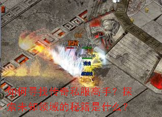 ���Ѱ�Ҵ���˽�����֣�̽��δ֪������ؼ���ʲô��