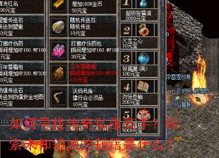 ���Ѱ�Ҵ���˽�����֣�̽��δ֪������ؼ���ʲô��