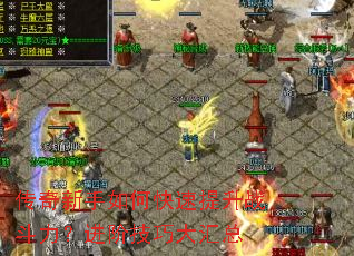 ����������ο�������ս���������׼��ɴ����