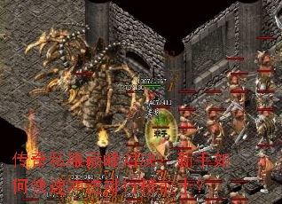 ����˽���۷�Ծ���������ο��ٳ�����а�ǰʮ��