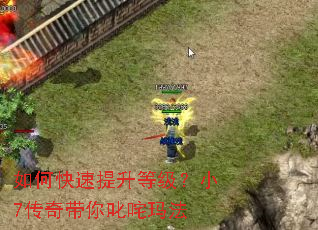 ��ο��������ȼ���С7�������߳���귨