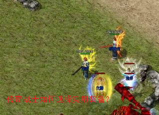 ����սʿ���ѡ��ʵ��װ����