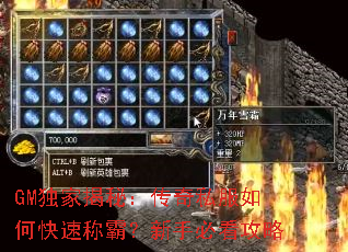 GM���ҽ��أ�����˽����ο��ٳưԣ����ֱؿ�����