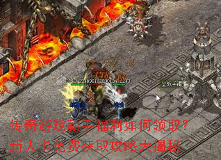 ������Ϸ���ָ��������ȡ�����˿���ѻ�ȡ���Դ����