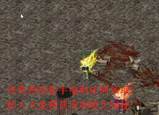 ������Ϸ���ָ��������ȡ�����˿���ѻ�ȡ���Դ����