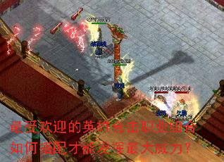 ���ܻ�ӭ��Ӣ�ۺϻ�ְҵ�����δ�����ܷ������������