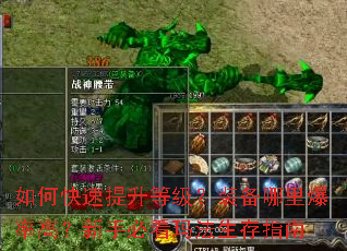 ��ο��������ȼ���װ�����ﱬ�ʸߣ����ֱؿ��귨����ָ��