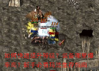 ��ο��������ȼ���װ�����ﱬ�ʸߣ����ֱؿ��귨����ָ��