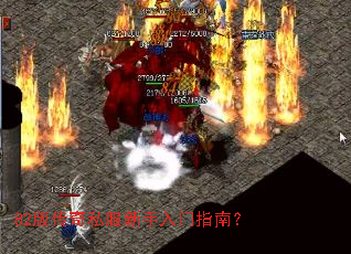 82�洫��˽����������ָ�ϣ�