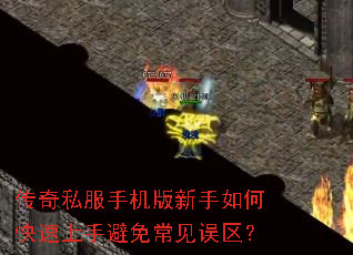 ����˽���ֻ���������ο������ֱ��ⳣ��������