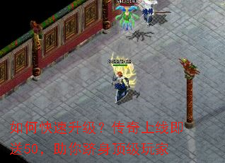 ��ο����������������߼���50�����������������