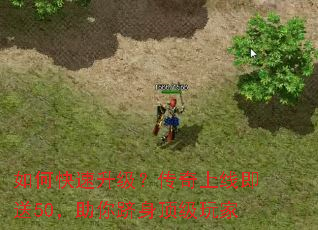 ��ο����������������߼���50�����������������