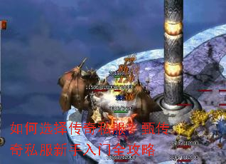 ���ѡ����˽�����紫��˽����������ȫ����