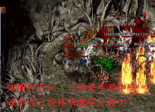 ����ں����������������и�Чˢ����������������ս����