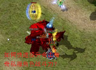 ��ο��������ϻ�����˽����ɫս������