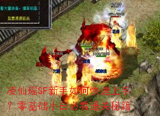 ������SF������ο������֣������С�ױؿ�ͨ���ؼ�