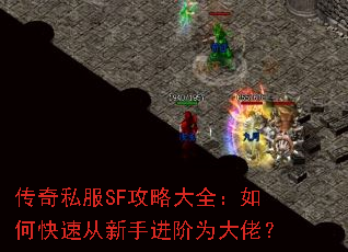 ����˽��SF���Դ�ȫ����ο��ٴ����ֽ���Ϊ���У�