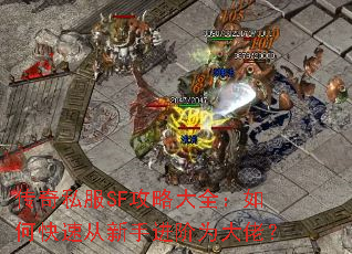 ����˽��SF���Դ�ȫ����ο��ٴ����ֽ���Ϊ���У�