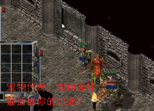 ���ﴫ�棺���ѡ�����ʺ����ְҵ��