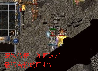 ���ﴫ�棺���ѡ�����ʺ����ְҵ��