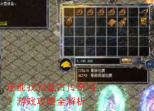 �����ҵ����Ŵ�������Ϸ����ȫ����