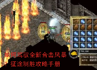 ��μ�Ԧȫ�ºϻ��籩����;��ʤ�����ֲ�