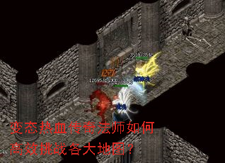 ��̬��Ѫ���淨ʦ��θ�Ч��ս�����ͼ��
